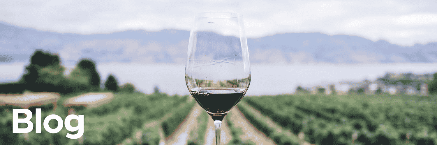 Vino tinto Blog